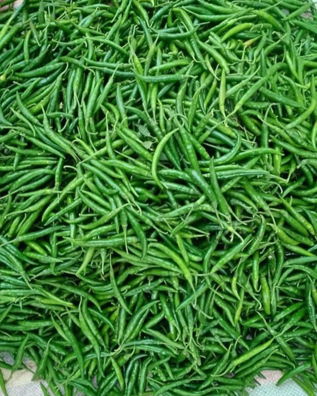 Fresh White Onion